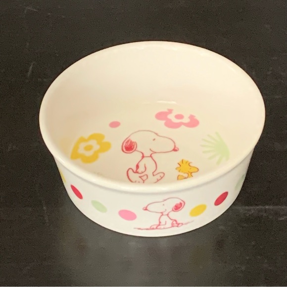 Peanuts Other - Peanuts Snoopy & Woodstock Floral 5” Ceramic Pet Bowl Flowers Polka Dots